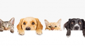 CV Sciences Debuts Line of CBD Pet Products 