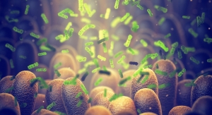 In Vitro Study Evidences Role of Gut Bacteria in Mood and Sleep