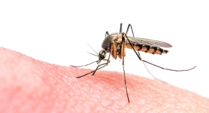Protecting Skin Against Mosquito-borne Infectious Disease