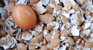 Eggshell Membrane Ingredient Receives Joint Health Claim in Canada