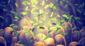 Researchers Connect Gut Microbiome to Healthy Aging