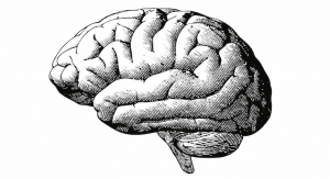 Maypro Launches Brain Health Ingredient NeuroHD