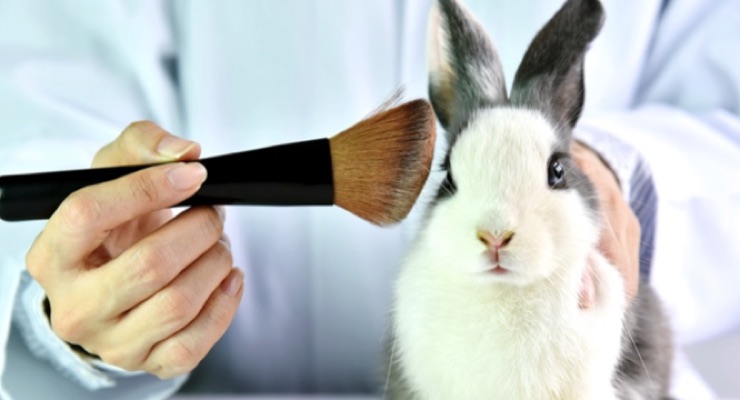 Virginia Bans Animal Testing for Cosmetics