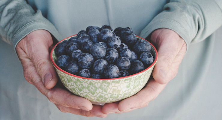Blueberry and Soluble Fiber Supplementation Evidenced to Reduce Risk of Gestational Diabetes 