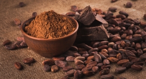 Cocoa Flavanols Evidenced to Improve Lower Limb Vascular Function In Older Adults 