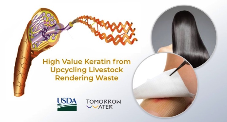 USDA SBIR Grant for Upcycling Keratin from Livestock Rendering Waste
