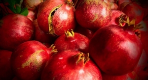 Pomegranate Extract Shown to Support Skin Health in Vitro