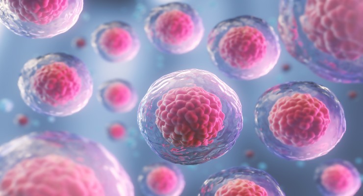 Robust Growth Expected for Global Stem Cell Market