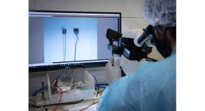 Feinstein Institutes Scientists Develop Long-Term Vagus Nerve Implant
