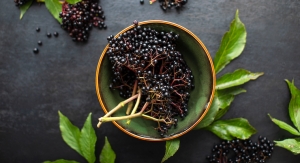 INS Farms Launches Organic and Conventional Elderberry Seed Oil