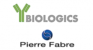 Y-Biologics, Pierre Fabre Enter Immuno-oncology Alliance 