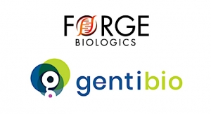 GentiBio, Forge Biologics Ink Development and Manufacturing Agreement