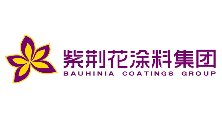 Bauhinia Advanced Materials Group
