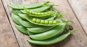 Grant Supports Research on Pea Protein Development
