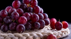 Grape Extract Achieves Self-Affirmed GRAS Status 
