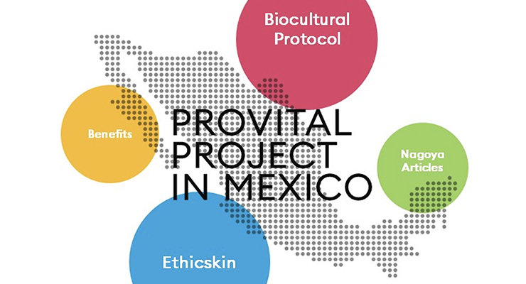 Provital Launches Ethicskin with Mujeres y Ambiente 