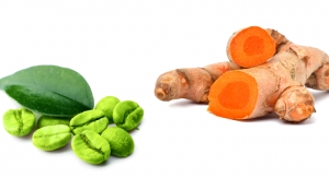 Green Coffee/Curcumin Extract Complex Shown to Offer Muscle Recovery in Animal Study 