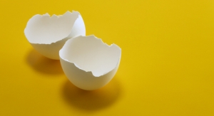 NEM Eggshell Membrane Receives Novel Food Approval from India’s FSSAI