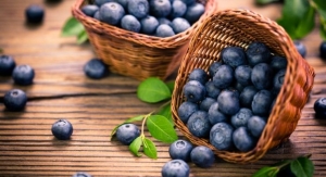 About Blueberry Fruit Powder