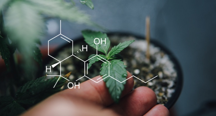 The Science of Cannabinoids and Their Benefits in Personal Care Formulations