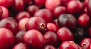 Cardiovascular Benefits Found in Cranberry Supplementation 