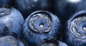 Bilberon Bilberry Extract Receives U.S. Patent For Eye Strain, Neck/Shoulder Pain 