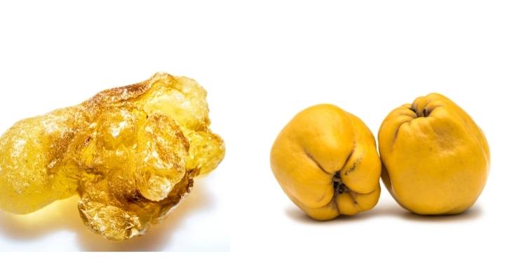 Boswellia and Bengal Quince Fruit Extract Blend Linked to Respiratory Benefits 