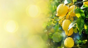 Lemon Flavonoid Complex Shown to Support Healthy Blood Glucose 