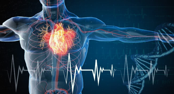 Study Projects Steep Rise in Cardiovascular Diseases by 2060