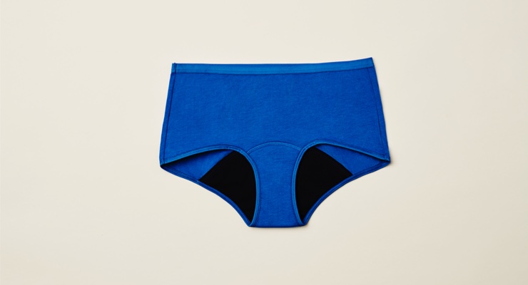 Hanes Comfort, Period. Women's Brief Period Underwear, Light Leaks