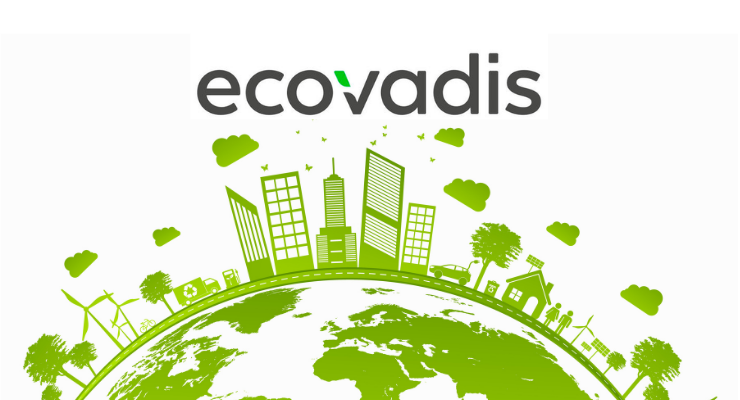 EcoVadis and the Ink Industry