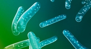 BIO-CAT Microbials Publishes Paper on New Bacillus Probiotic