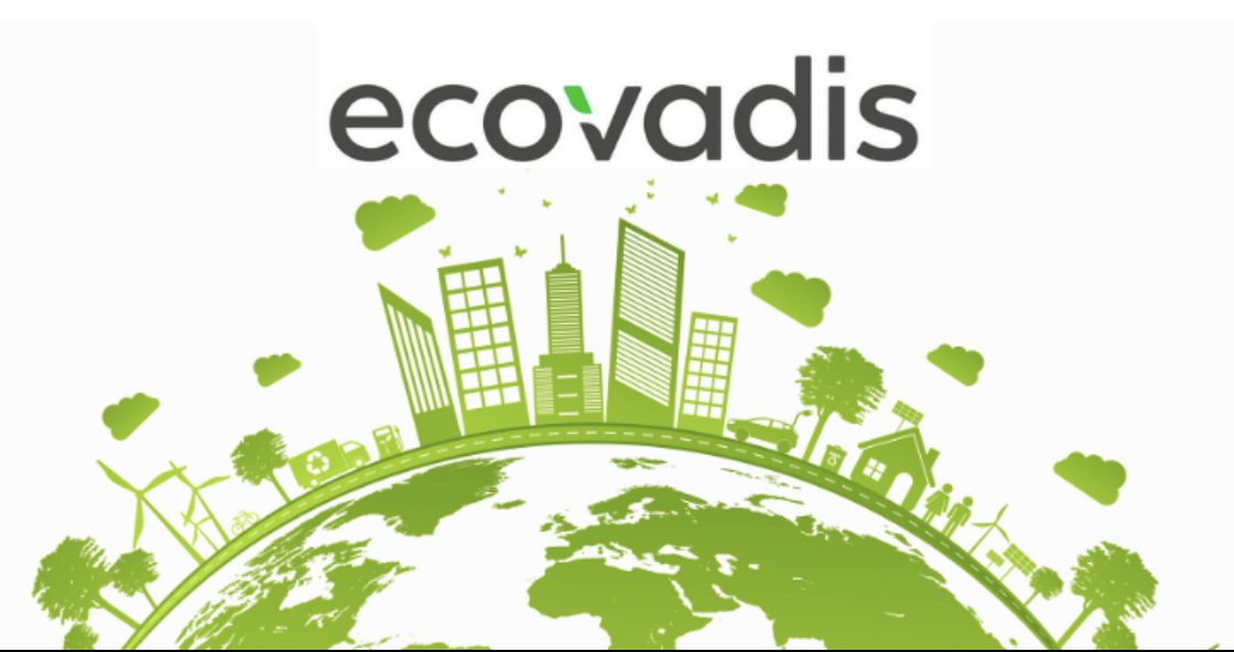 Ecovadis in the Nonwovens Industry: Ratings & Methodology