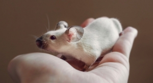 Reversing Aging Is a Reality…in Mice