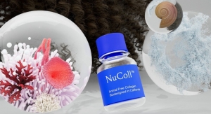 Geltor Expands into Hair Care with Launch of NuColl Biodesigned Vegan Collagen