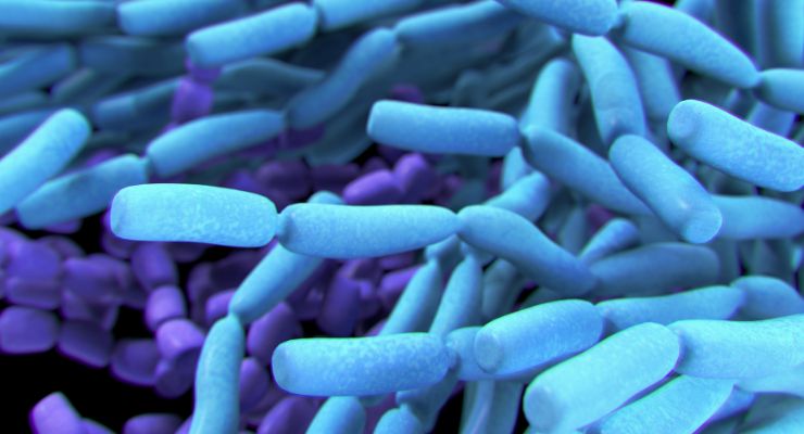Probiotics Supplementation Reduces Complications in Colorectal Cancer Patients 