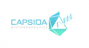 Capsida Biotherapeutics Names Susan Catalano Chief Scientific Officer