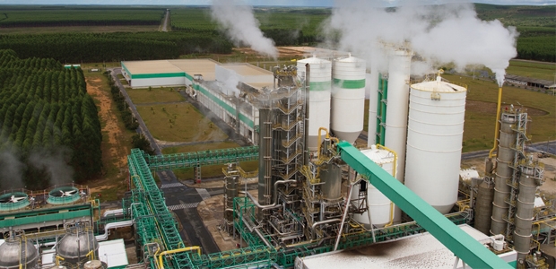 Brazil Attracts Pulp, Nonwoven Investments