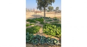 Herbal Essences Announces ‘Plant Grow Nourish’ Program for Earth Day