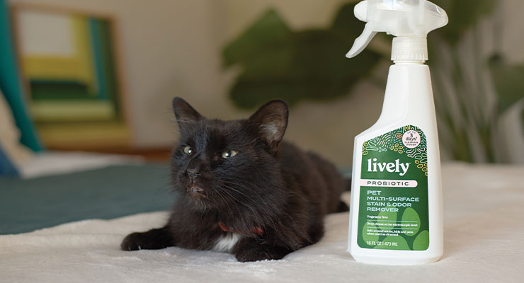 CLR Everyday Clean  Multi-Purpose Cleaner - Safe for Family & Pets