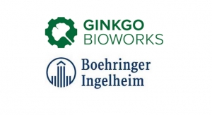 Ginkgo Bioworks, Boehringer Partner to Develop Breakthrough Therapies 