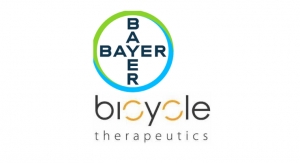 Bayer, Bicycle Therapeutics Partner on Targeted Radionuclide Therapies in Oncology