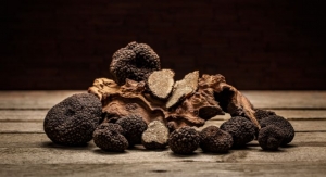 Sempera Organics Launches Six New Mushroom Ingredients 