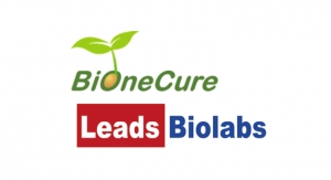 BiOneCure, Nanjing Leads Biolabs Partner to Develop ADCs for Solid Tumors