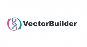 VectorBuilder Expands Global Reach with UK Headquarters