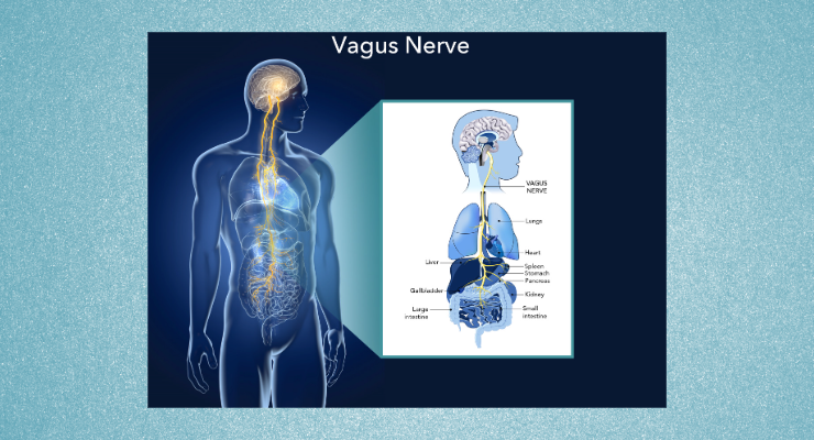 Tivic Health Systems Files Patent Application for Non-Invasive Vagus Nerve Stimulation Tech