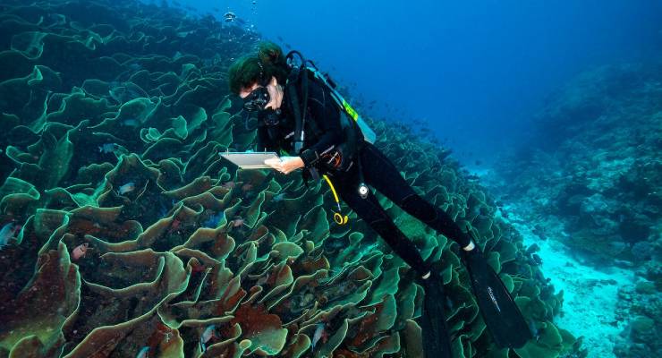 Mary Kay Continues Partnership with The Nature Conservancy to Support Ocean Conservation and Coral Reef Protection 