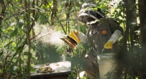 Koster Keunen Helps Local Beekeepers Thrive in Togo