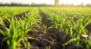 ADM Expands Regenerative Agriculture Program in North America
