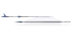 Reflow Medical Shares Positive Data on Bare Temporary Spur Stent System